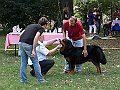 img 060